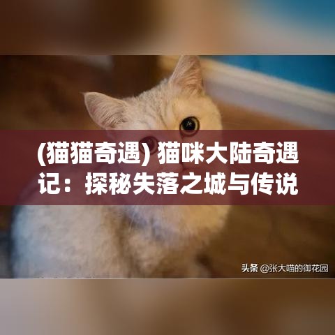 (猫猫奇遇) 猫咪大陆奇遇记：探秘失落之城与传说中的猫咪王国